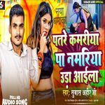 Patre Kamariya Pa Namriya Uda Aila