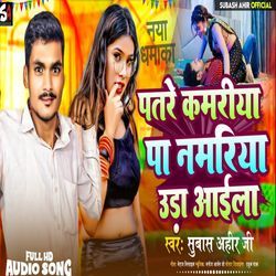 Patre Kamariya Pa Namriya Uda Aila