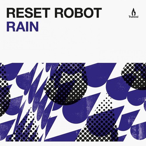 Reset Robot