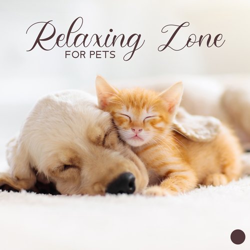 Relaxing Zone for Pets_poster_image