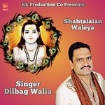 Shahtalaian Waleya