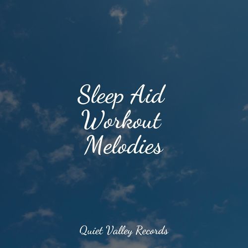Meditating Music cover art