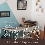 Study Buddy - Unrealistic Expectations