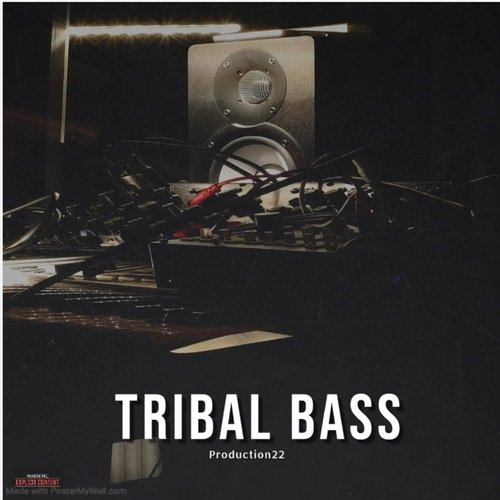 TRIBAL BASS_poster_image