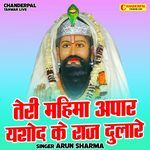 Teri Mahima Apar Yashoda Ke Raj Dulare