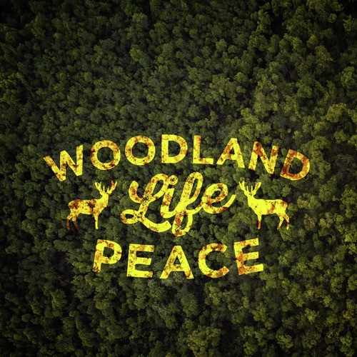 Woodland Life: Peace