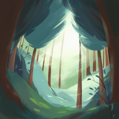 forest illuminations