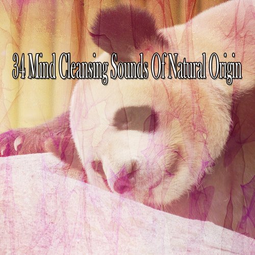 34 Mind Cleansing Sounds Of Natural Origin