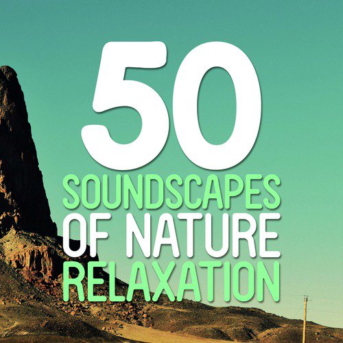 50 Soundscapes of Nature Relaxation: Meditation, Sounds of Nature, Mindfulness, White Noise and Relaxation