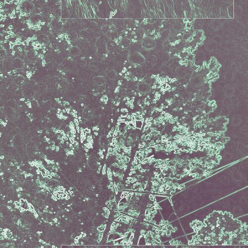 Anything Goes Vol.1