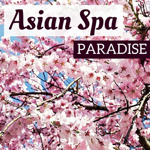 Asian Spa Paradise - Gentle Spa Nature Sounds for Lucid Dreaming, Best Relaxation Methods