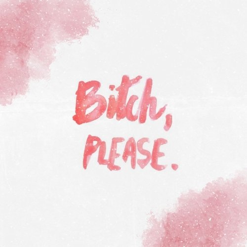 Bitch Please_poster_image