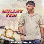 Bullet Teri
