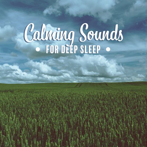 Calm Zone cover art