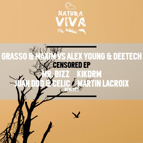 Censored (Mr. Bizz Remix) cover art