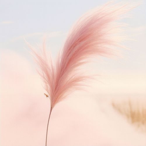 Calm Within Chaos cover art