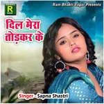 Dil Leke Ja Rahe Ho Kaise Jiyenge Ham