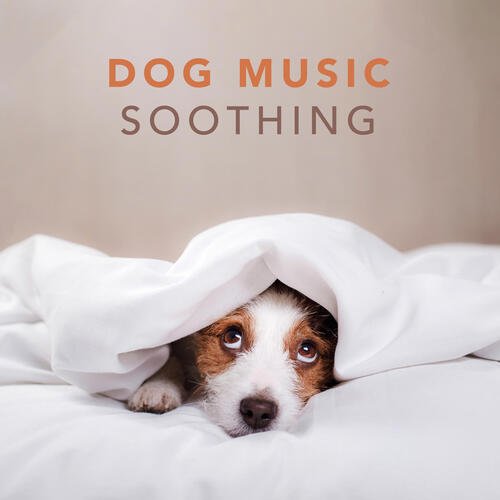 Dog Music - Soothing Music for Dogs and Puppies_poster_image