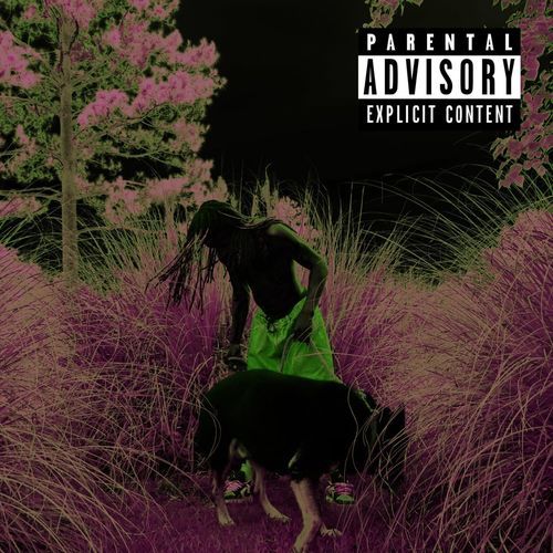 Dog Walk cover art