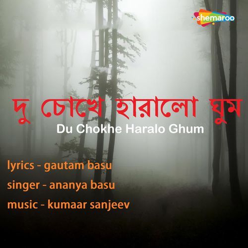 Du Chokhe Haralo Ghum