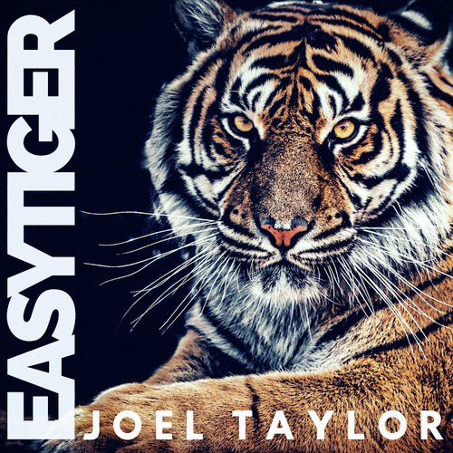 Easy Tiger_poster_image