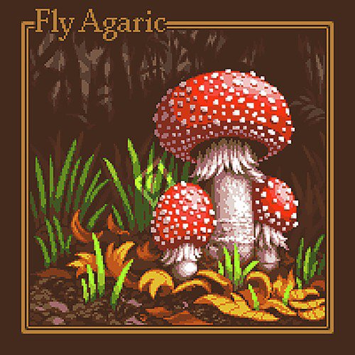 Fly Agaric_poster_image