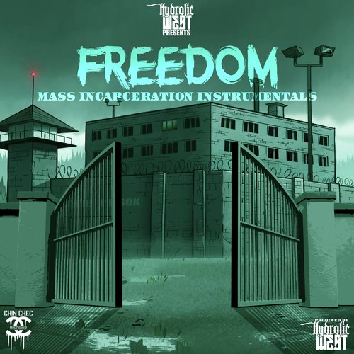 Freedom Mass Incarceration Instrumentals