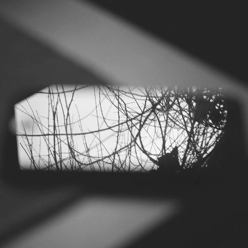 Middle of the Show / Intermission (Live )