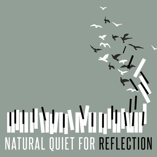 Natural Quiet for Reflection