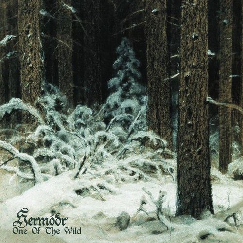 It's Silent Here cover art