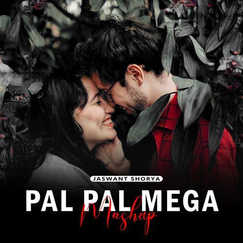 Pal Pal Mega (Mashup)