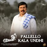 Pallello Kala Undhi