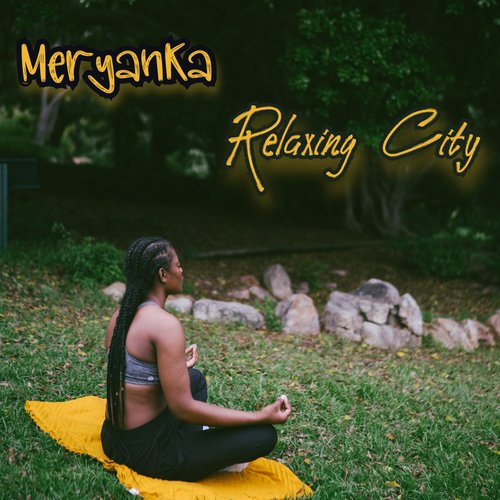 Fly cover art