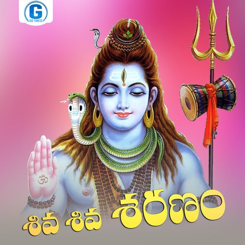 Shiva Shiva Sharanam