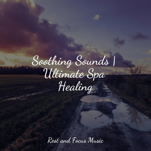 Soothing Sounds | Ultimate Spa Healing