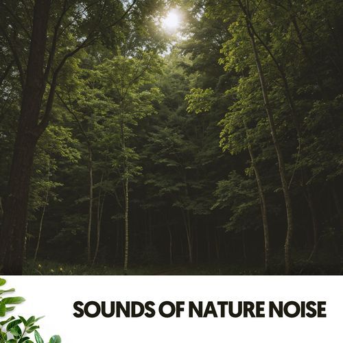 Sounds of Nature Noise: Paths to Peaceful Aventure_poster_image