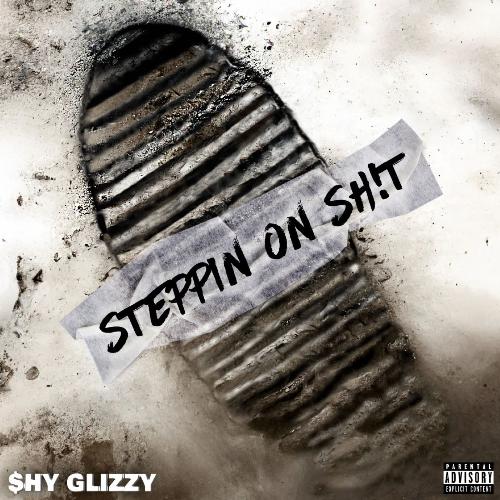 Steppin On Sh!t_poster_image