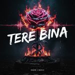 Tere Bina