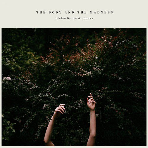 The Fence cover art