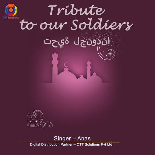 Tribute To Our Soldiers