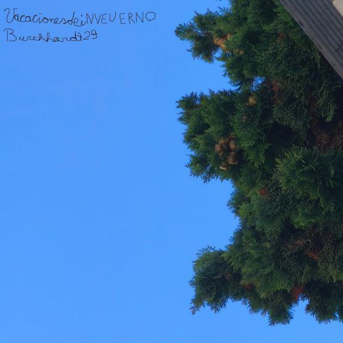 Julio cover art