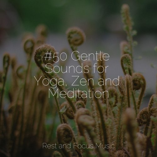 #50 Gentle Sounds for Yoga, Zen and Meditation