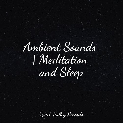 Meditating Music cover art