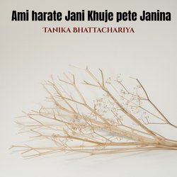 Ami harate Jani Khuje Pete Janina-AiEMeEJjTUI