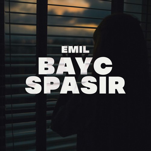 Bayc Spasir