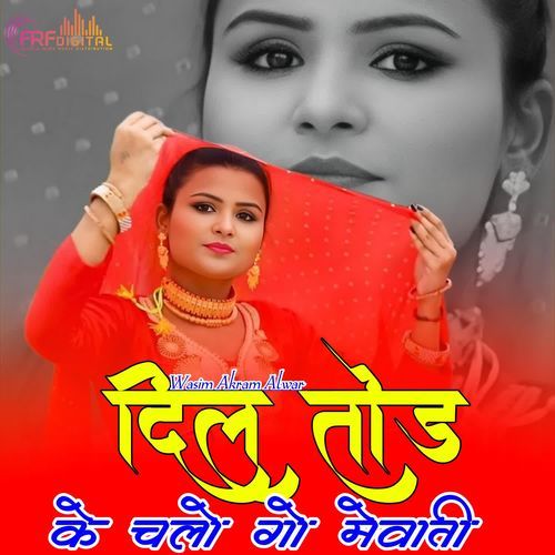 DIL TOD KE CHALO GO MEWATI