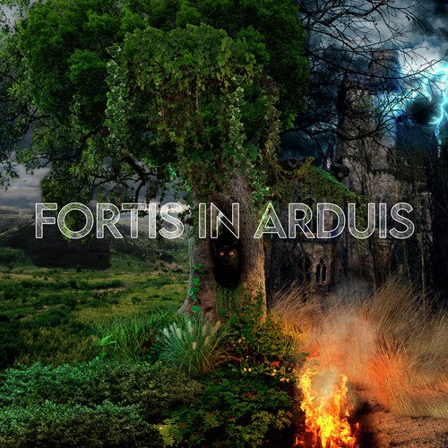 Fortis In Arduis cover art