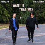 I Want It That Way (feat. Dtmschangmin)