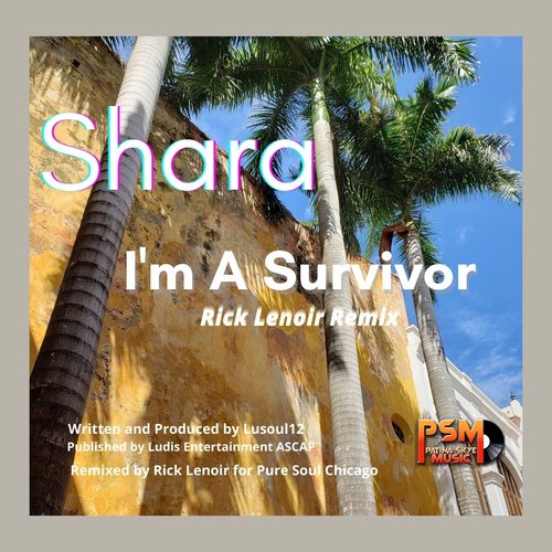 I&#039;m a Survivor_poster_image