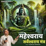 Maheshwaray Sarveshwaraya Mantra